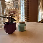 Vinkenland Apartment